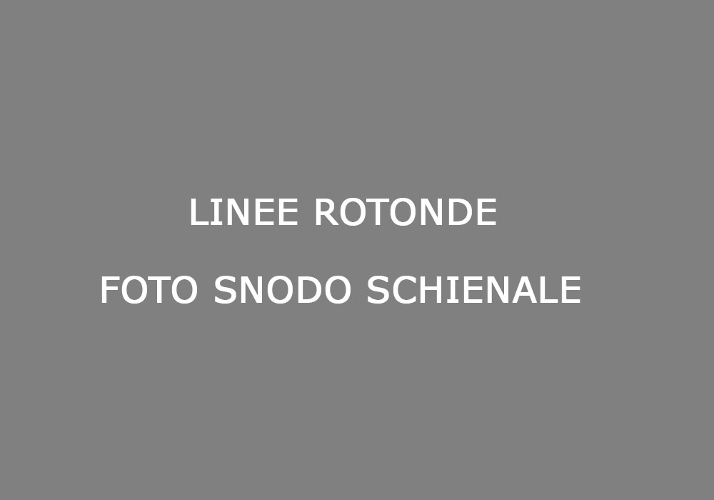 linee_rotonde_foto_snodo_schienale
