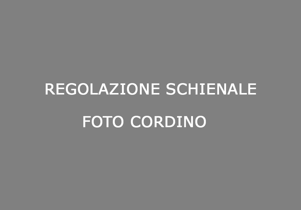 regolazione_schienale_foto_cordino