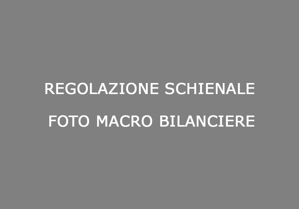 regolazione_schienale_foto_macro_bilanciere